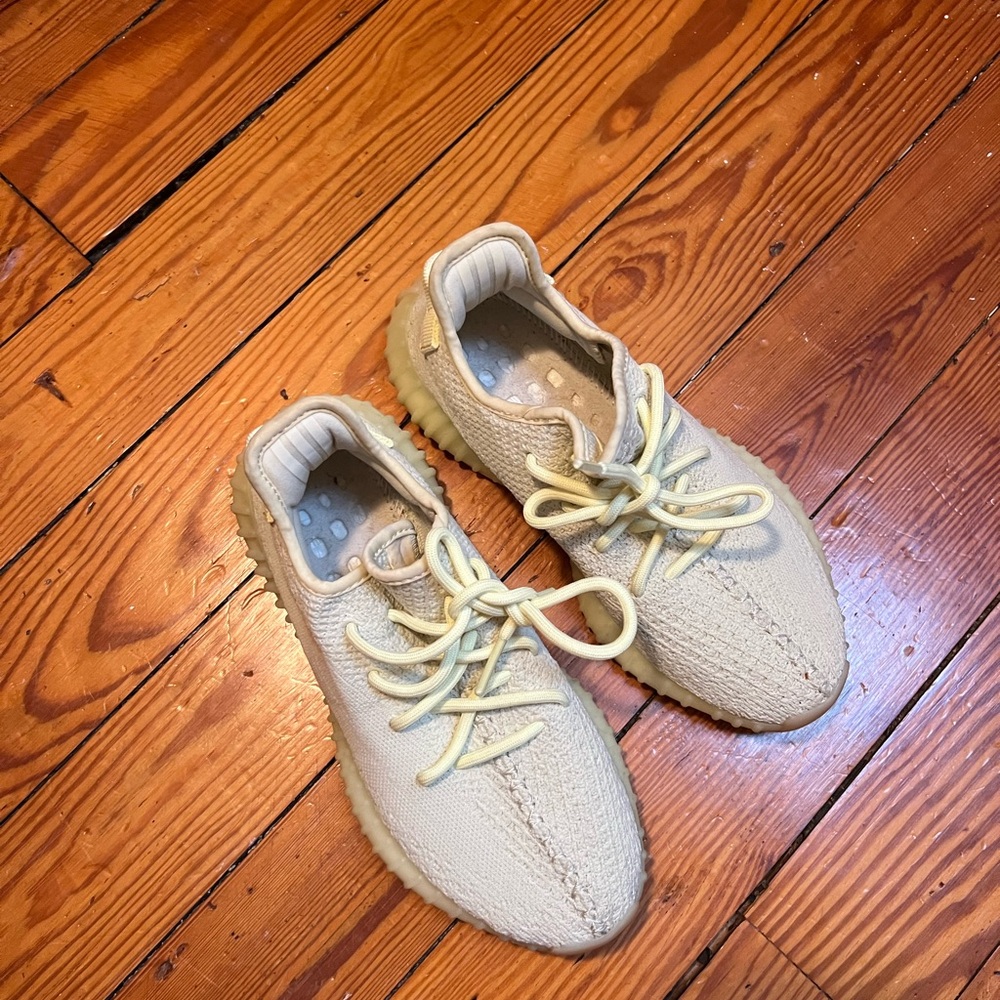 Adidas Yeezy Boost 350 shoes